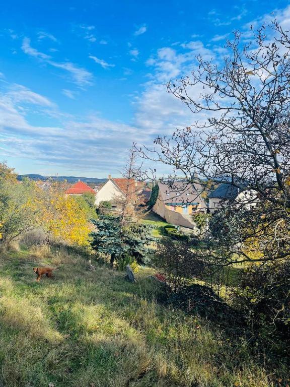 Apartment Lakepark Garden With Swimming Pool & Park *